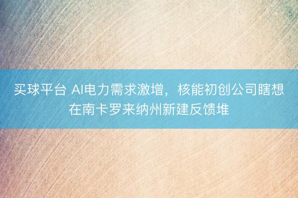 买球平台 AI电力需求激增，核能初创公司瞎想在南卡罗来纳州新建反馈堆